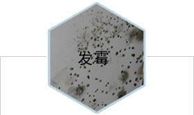 �Ϸ�������������