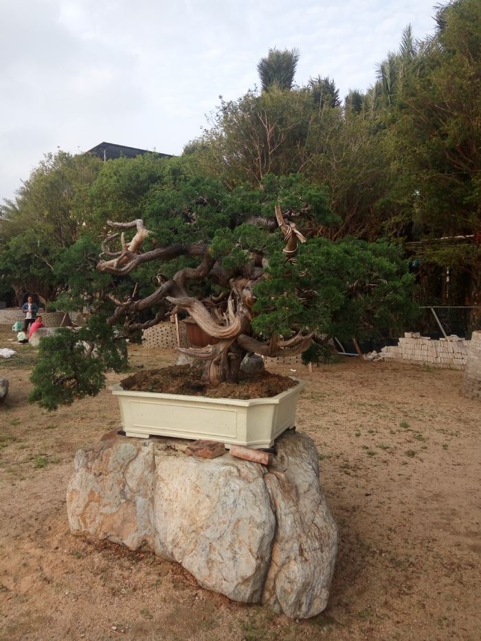 ���Ź����϶�