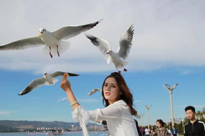 ���Ź�������ƽ