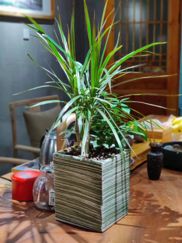 ���Ź�������