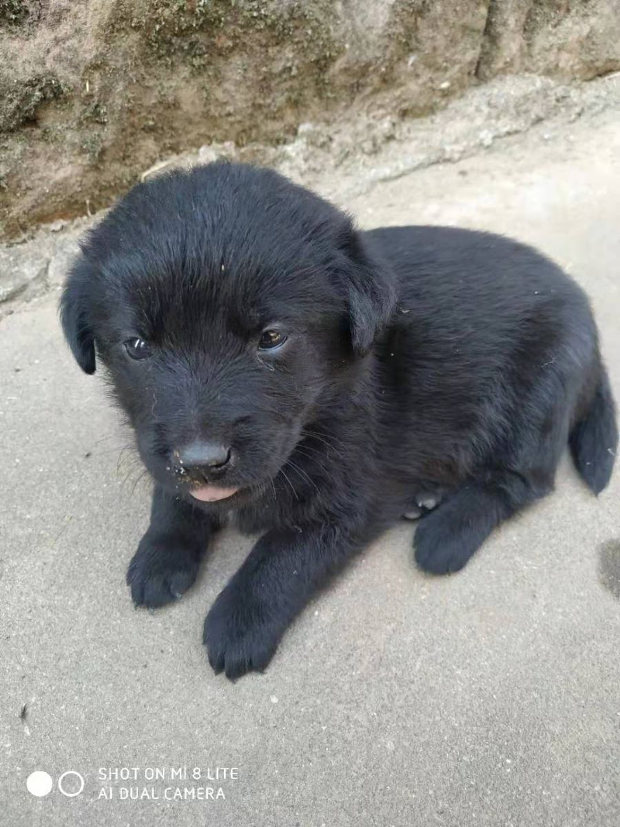 优优工长周田元