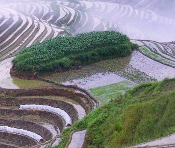 ���Ź�����׳��