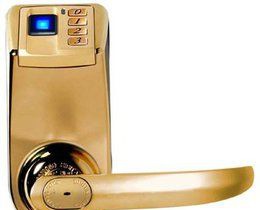 ָ��������