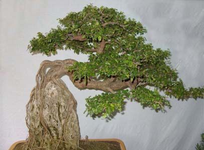 �����辰�޽Ӽ���