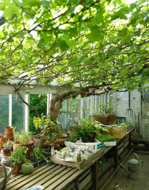 ����������������֮һ