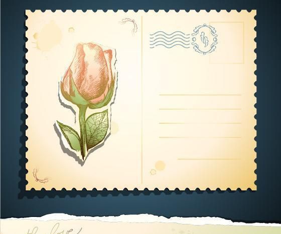 ���ŵĶ���