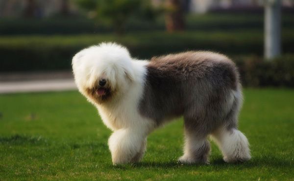 ����Ȯ��ʱ����