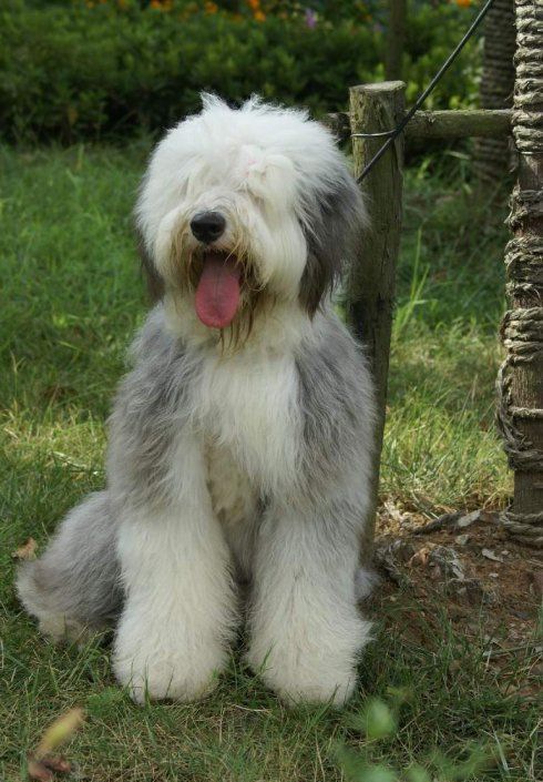 ����Ȯ�ɳ��ڻ���