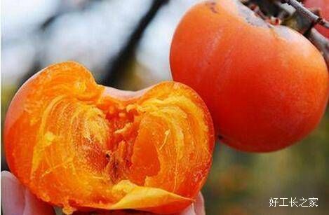 ����Ƥ���ܳ�