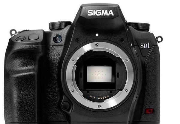 ���Ʒ�ơ���ʿ��Ƭ