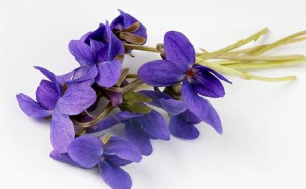 ֲ��Ի�����Ӱ��