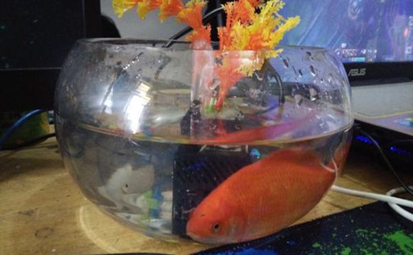 ����������ע������