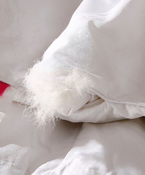 ���ޱ�ѡ������