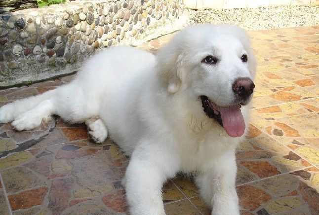 ����ܵĽ�������