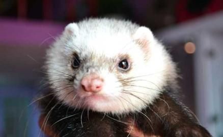 �������ճ���������Ҫע��ʲô����?