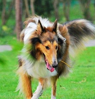 �ո�������Ȯι��ǰ��֪����