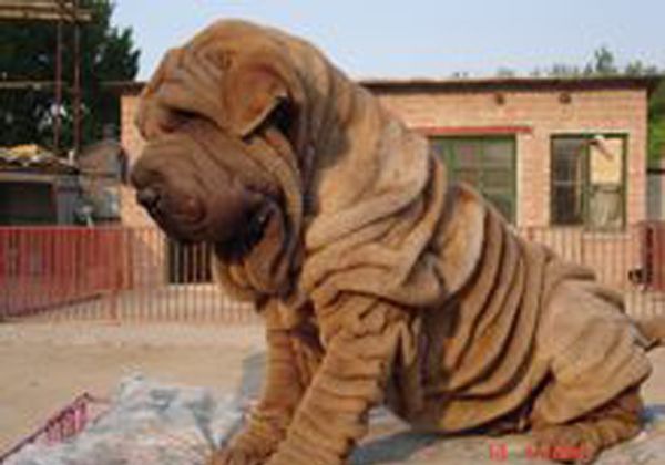 ɳƤ��ϰ������