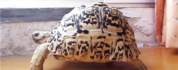 ������������