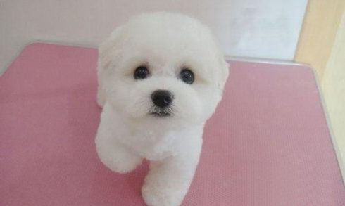 ����Ȯ��ס����