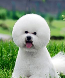 ����Ȯι��ָ��