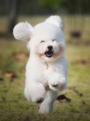 ���Ȯ��ι��