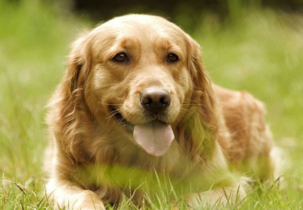 ��ëȮ��̬����