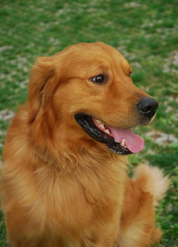 ��ëȮ����֪ʶ