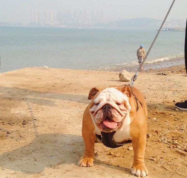 ��ţȮ���ַ���