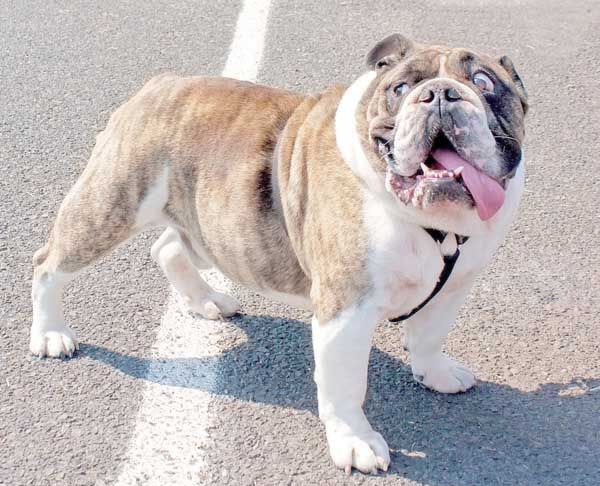 ��ţȮ������֪