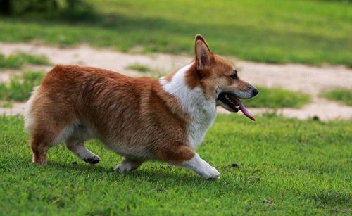 �»�Ȯ�ص����ʴ�ӱ