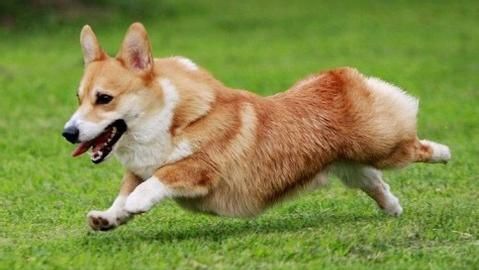 �»�Ȯ������