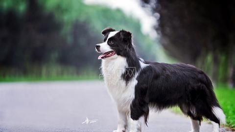 �߾�����Ȯ����֪ʶ