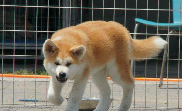 ����Ȯ��������