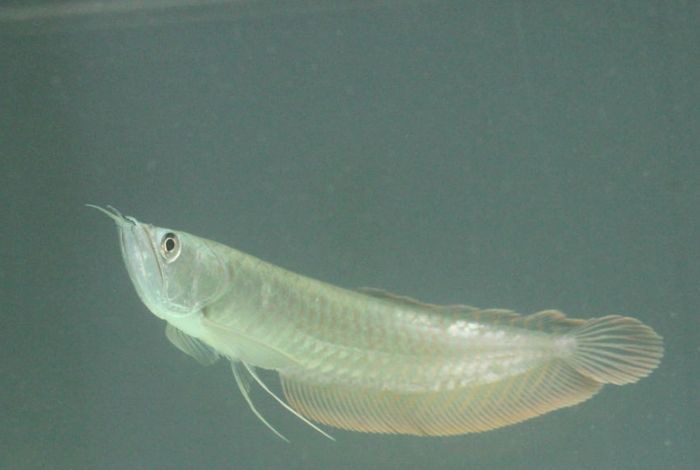 ���������ͼ�ֵ