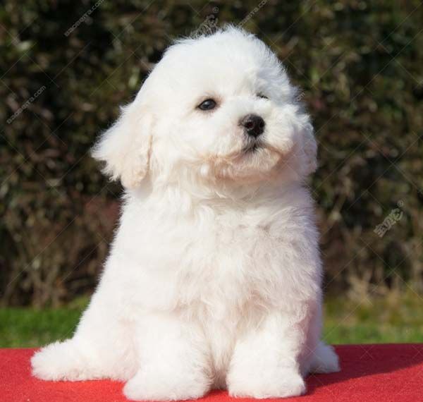 ����Ȯ����ϰ��