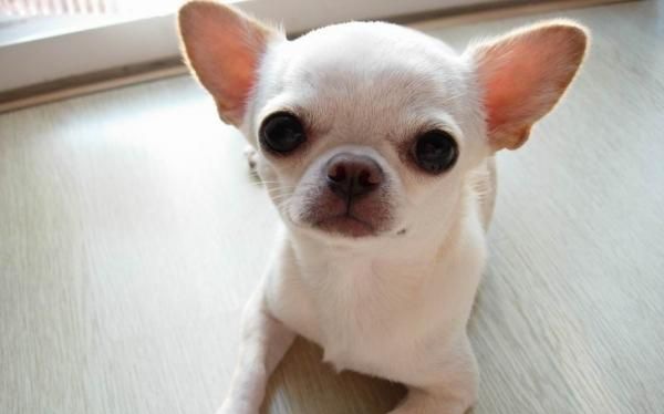 ��������ǰ�ر�