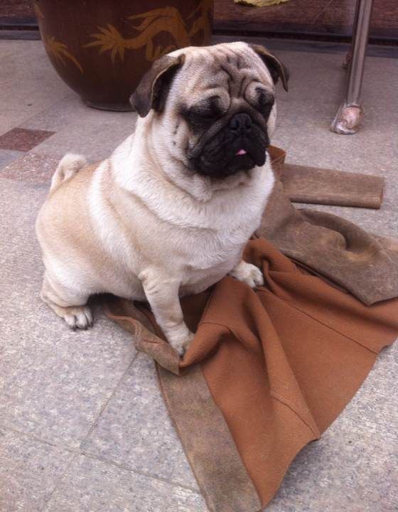 �͸�Ȯ�ճ�����