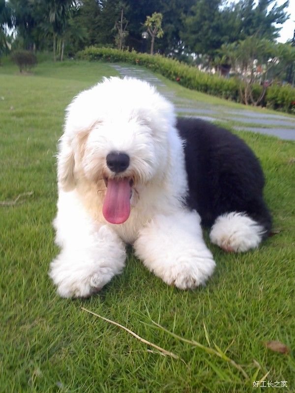 ������̬����