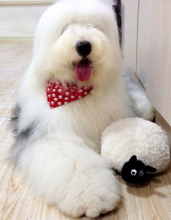 ��������ϰ��