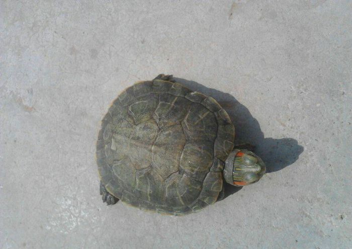 С�ڹ������