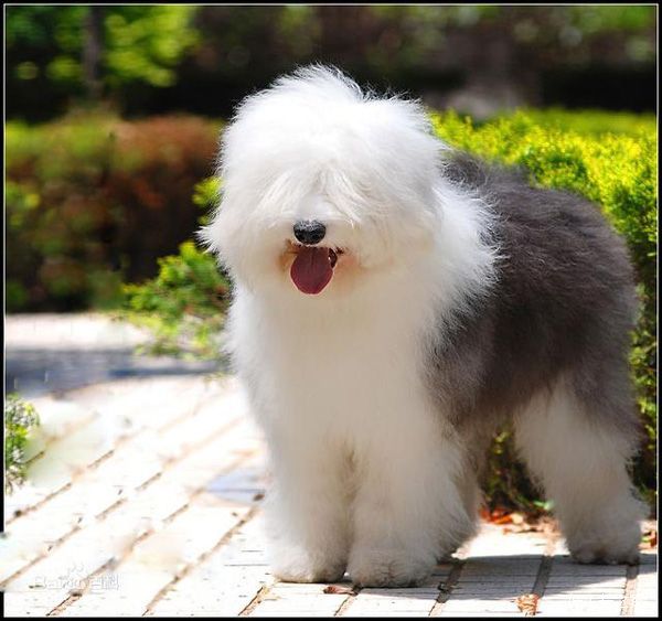 ���������Ը��ص�