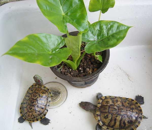 ����������ϰ��