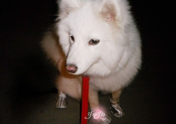 ��ĦҮ���֪ʶ��չ