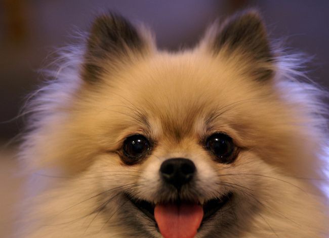 ����Ȯ������