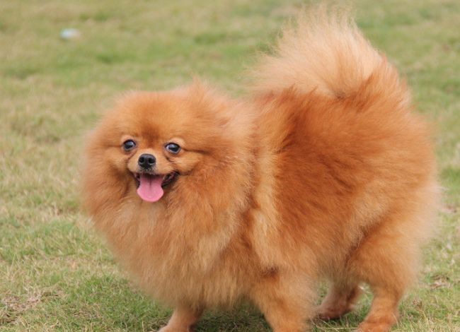 ιʳ�Ĵ�����ʱ��