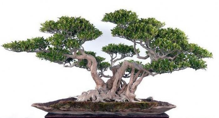 ��ô���������辰�Ĳ������溦