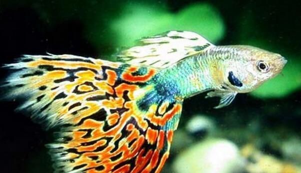 ��ȸ����β֢״