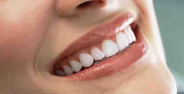 ��ֲ����ȱ��