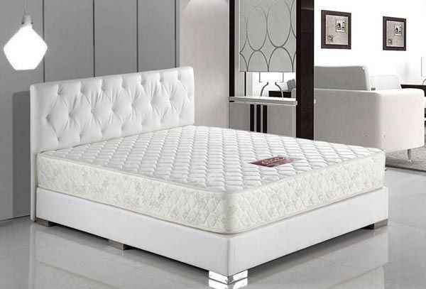 ���洲�������ص�