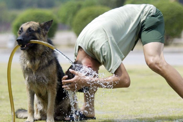 ��ˮϴͷ�ĺ��